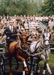 ekkert-meinecke-weltmeister-gespannfahren
