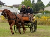 ekkert-meinecke-grossvater-und-fahrtrainer