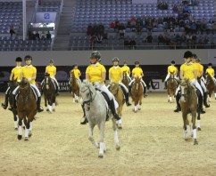 Hannoversche Reitponyquadrille in Aachen