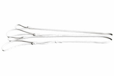 2521 Wiener Zügel