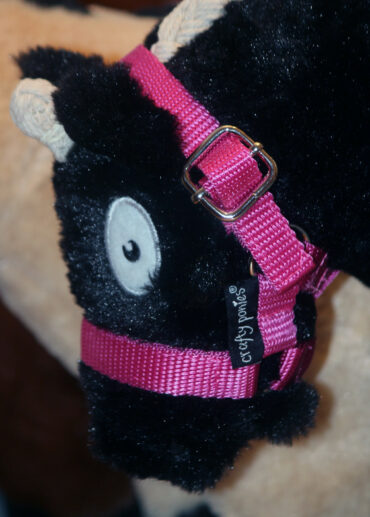 2070 Crafty Ponies Halfter – Bild 2