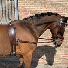 Longieren