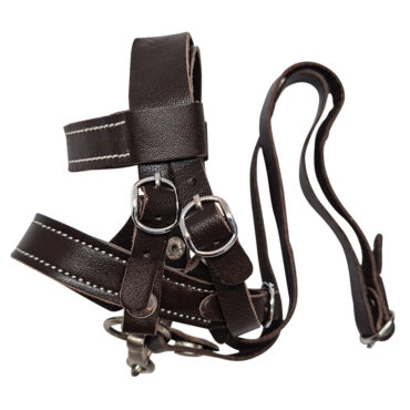 Crafty Ponies Trensenzaum Premium
