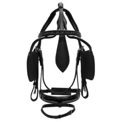 Kopfgestelle - bridle