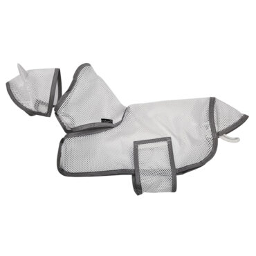 2036 Fliegendecke und Maske
