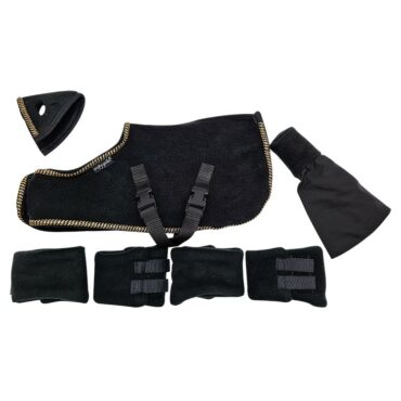 2036 Turnierdecken Set schwarz-gold