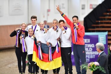 Voltigiergurt "Kristina Boe" mit auswechselbaren Kissen – Bild 9